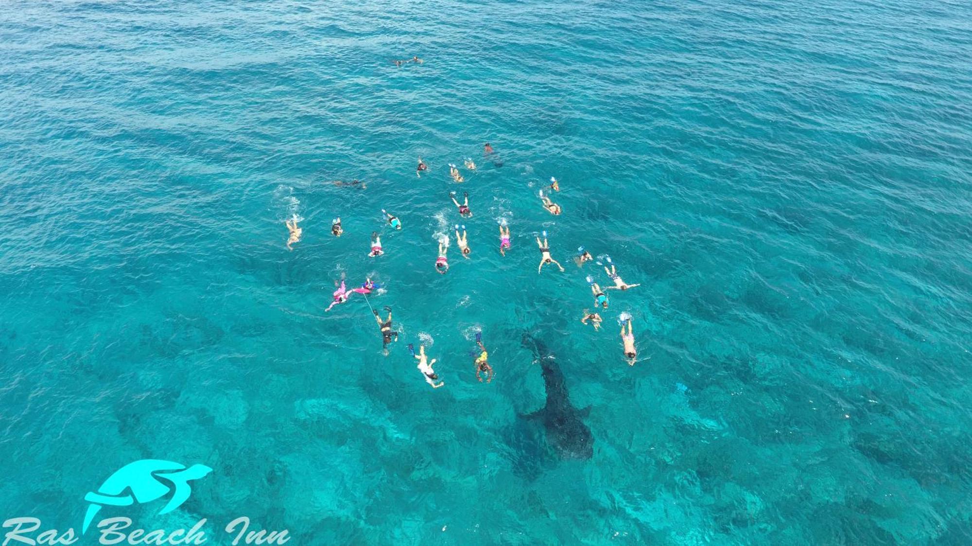 Ras Beach Inn Rasdhoo Bagian luar foto