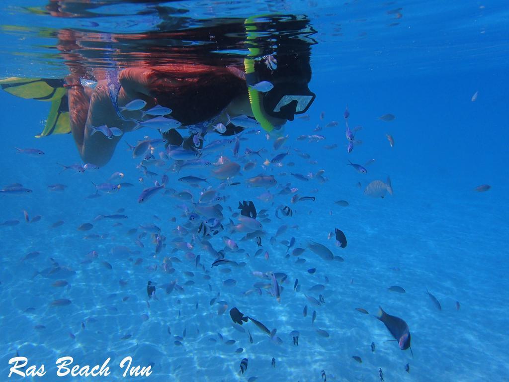 Ras Beach Inn Rasdhoo Bagian luar foto