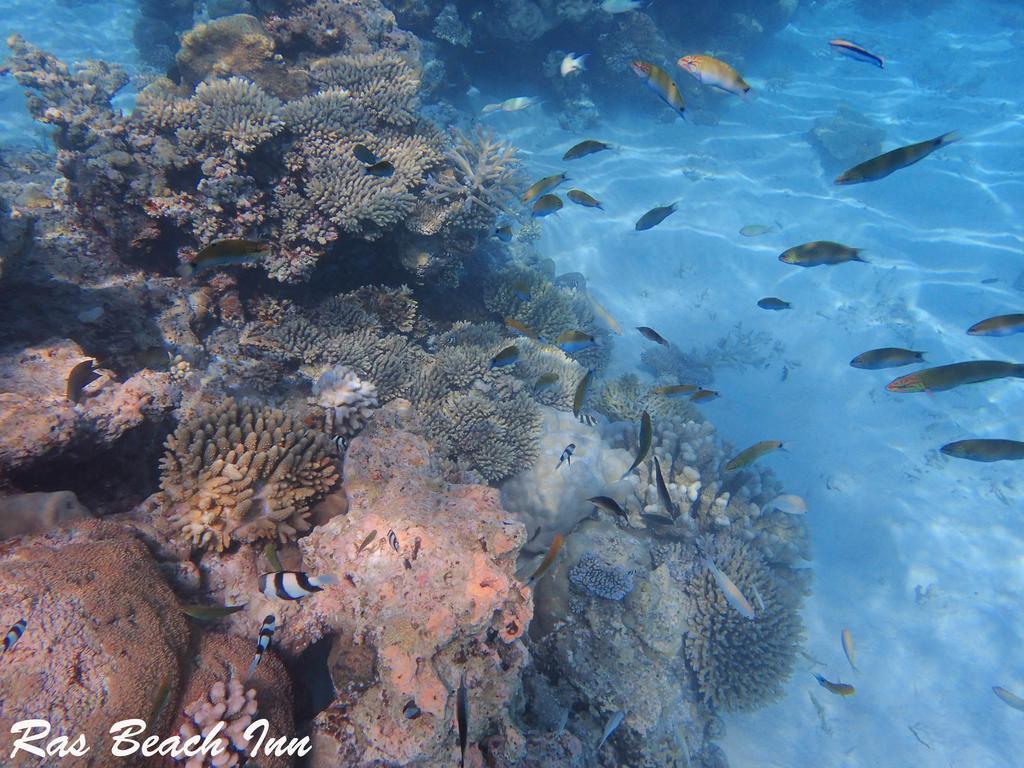 Ras Beach Inn Rasdhoo Bagian luar foto