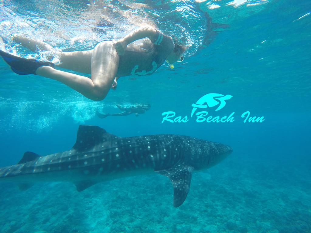 Ras Beach Inn Rasdhoo Bagian luar foto